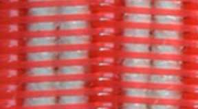 Spiral press filtrate